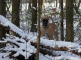 /album/keistad-amy/wandelen-331-jpg/